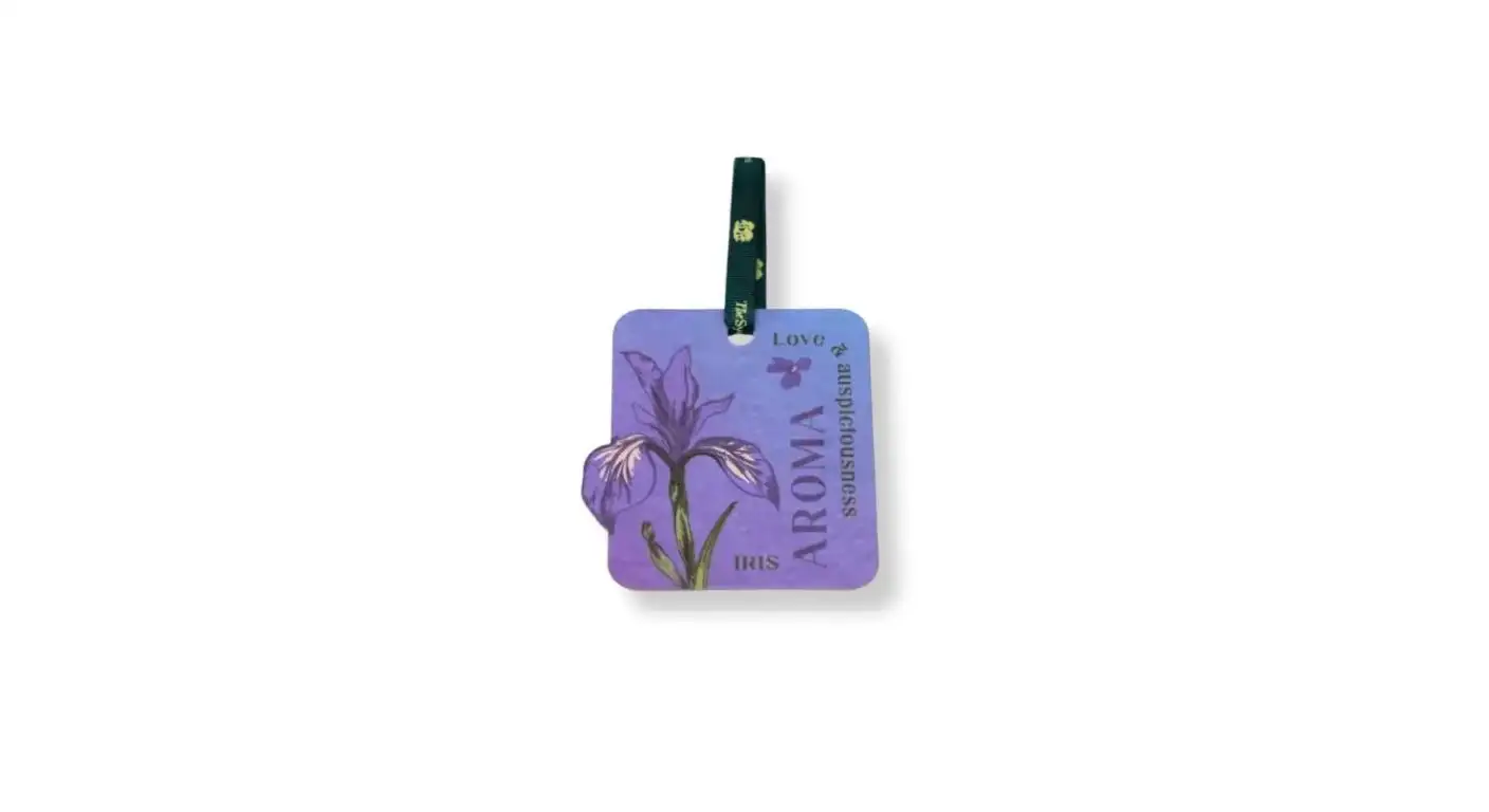 closet air freshener supplier